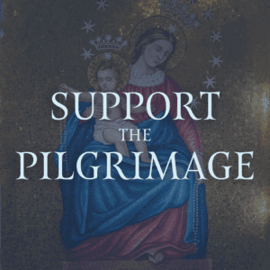 support - portal