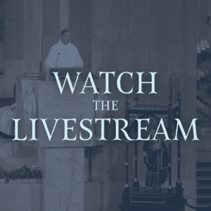 watch the livestream - pilgrim's portal